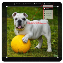 將圖片載入圖庫檢視器 Custom Made 5D Diamond Painting From Your Picture
